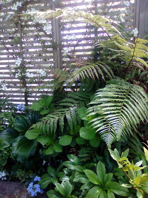 Silvereye Retreat - Tourism Bookings NZ 3