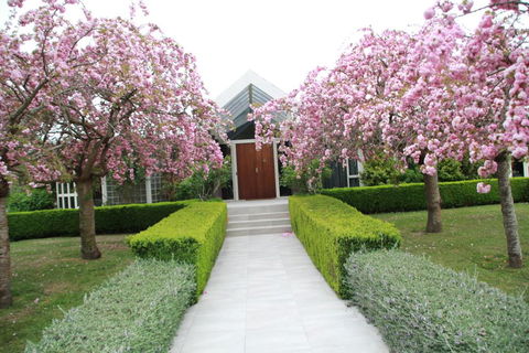 Silverstream Alpaca Farmstay & Tour - Tourism Bookings NZ 2