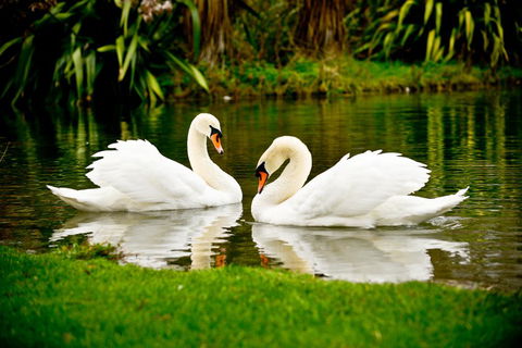 Silverstream Lodge - Tourism Bookings NZ 3