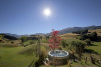 Speargrass Rise