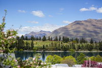 Stay of Queenstown