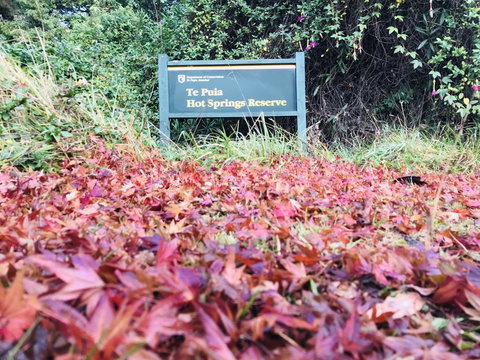 Te Puia Hot Springs Hotel - Tourism Bookings NZ 2