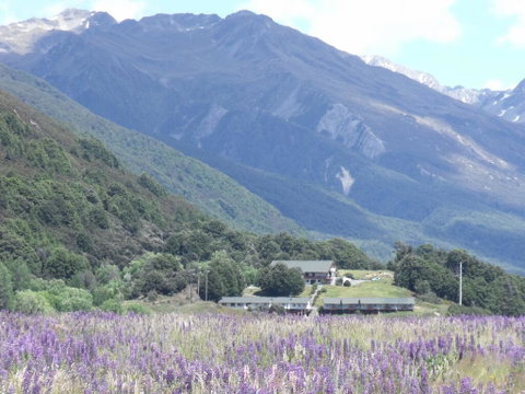 The Bealey Hotel - Tourism Bookings NZ 1