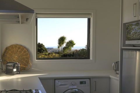 The Cabbage Tree - Tourism Bookings NZ 2