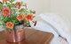 The Carriage House-Bay Of Islands - thumb 1