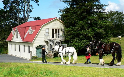 The Carriage House-Bay Of Islands - Tourism Bookings NZ 0