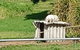 The Dog House - thumb 0
