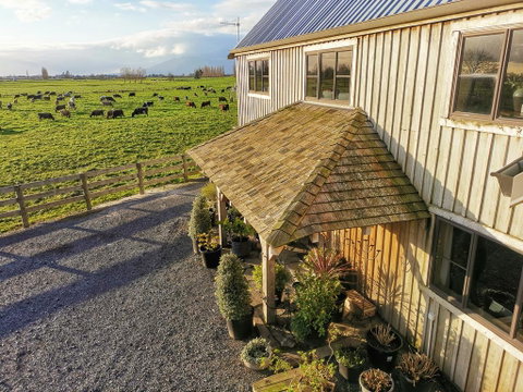 The House With No Nails - Tourism Bookings NZ 1
