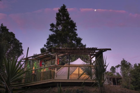 The Luxury Honolulu With Private Bar At Paradise Valley Glamping - Tourism Bookings NZ 2