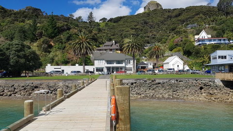 The Marlin Of Whangaroa - Tourism Bookings NZ 0