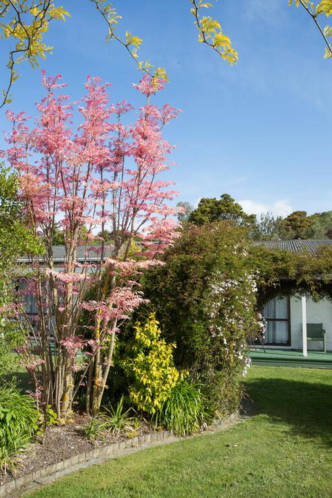 The Park Motel - Tourism Bookings NZ 3