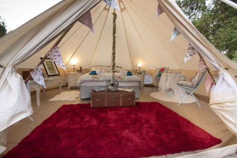 The Primrose At Paradise Valley Glamping - Tourism Bookings NZ 2