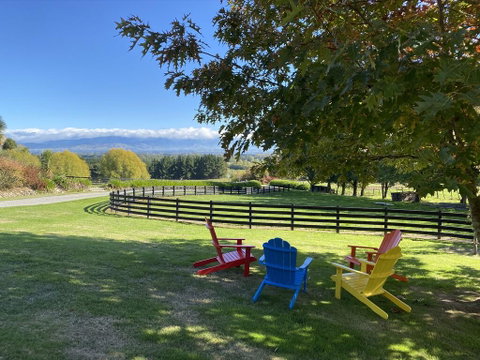 Tree Hut Cottage - Tourism Bookings NZ 1