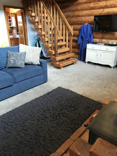 Tree Hut Cottage - Tourism Bookings NZ 3