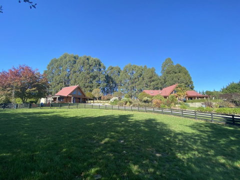 Tree Hut Cottage - Tourism Bookings NZ 2