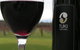 Tuki Vineyard Cottage - thumb 1