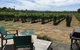Tuki Vineyard Cottage - thumb 0