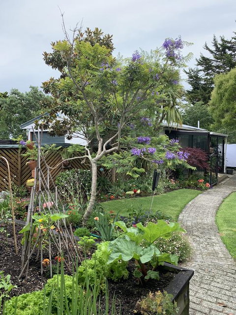 Twin Oaks Quiet Cottage - Tourism Bookings NZ 0