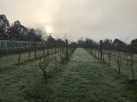 Vineyard Cottages - Kumeu - Tourism Bookings NZ 2