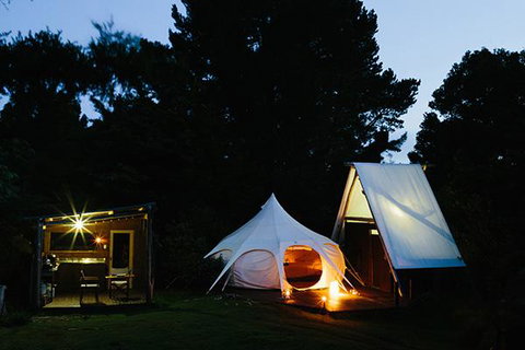 Wild Forest Estate Glamping - Tourism Bookings NZ 1