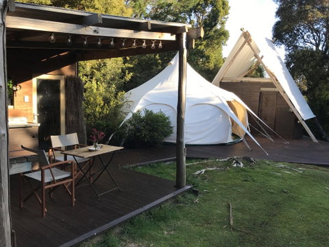 Wild Forest Estate Glamping - Tourism Bookings NZ 0