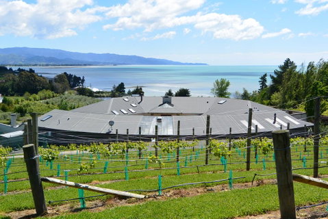 Windhover Suites - Tourism Bookings NZ 0