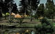 Zen Relax Tent At Paradise Valley Glamping - thumb 3