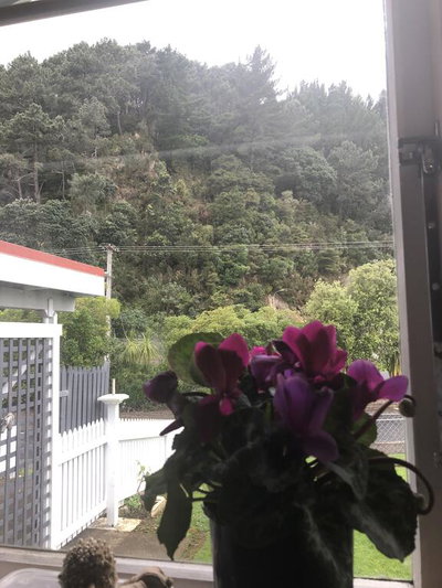 Zions Hill B&B