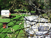 Te Kaha Holiday Park Motel  Cafe