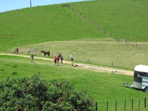 Whananaki Holiday Park - Tourism Bookings NZ 3