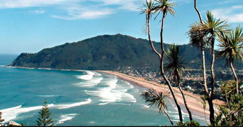 Lynton House Bed & Breakfast - Tourism Bookings NZ 16