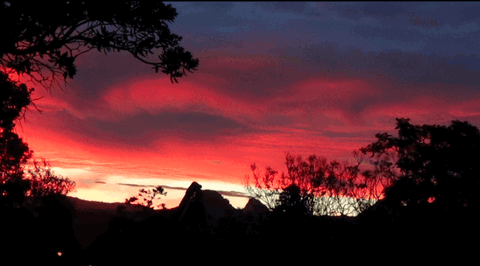 Lynton House Bed & Breakfast - Tourism Bookings NZ 9