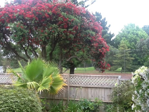 Lynton House Bed & Breakfast - Tourism Bookings NZ 17