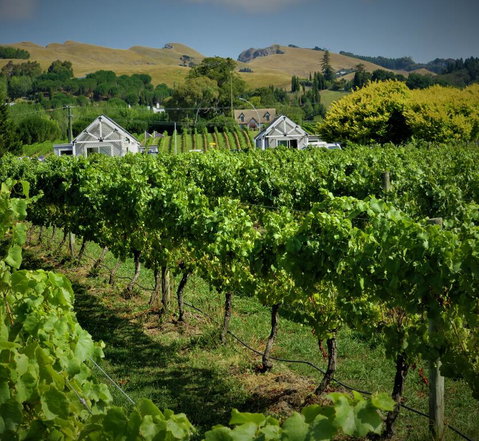305inthevines - Tourism Bookings NZ 0
