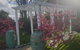 4Paddocks Main House - thumb 1