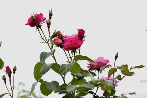 59 Chaucer Apartment - Tourism Bookings NZ 3