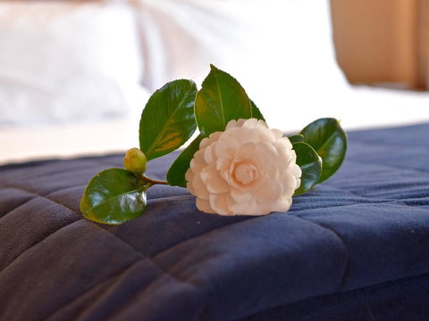 Akaroa Cottages Woodside - Akaroa Holiday Cottage - Tourism Bookings NZ 1