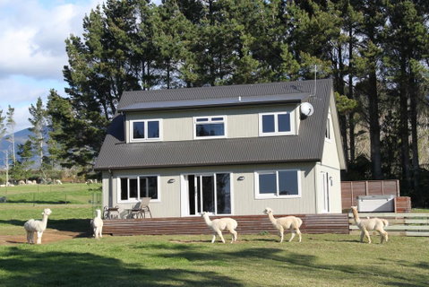 Alpaca Farm Retreat - Tourism Bookings NZ 1