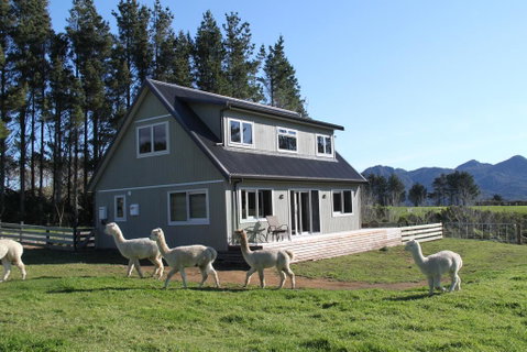 Alpaca Farm Retreat - Tourism Bookings NZ 0