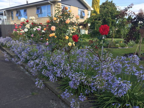 Alpha Apartment - Tourism Bookings NZ 1