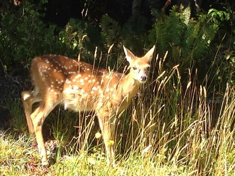 Anchorstone - Tourism Bookings NZ 2