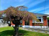 Andersons bay holiday house