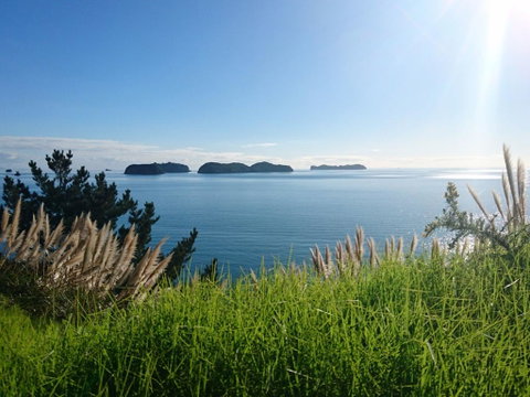 Anglers Lodge - Tourism Bookings NZ 2