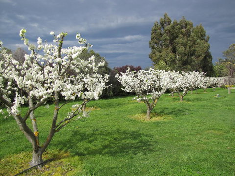 Antria Boutique Lodge - Tourism Bookings NZ 1