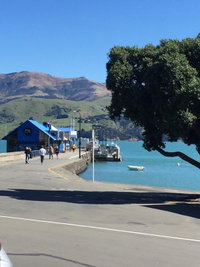 Apartment 65 Akaroa