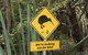 Aroha Island - thumb 1