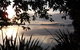 Aroha Island - thumb 0