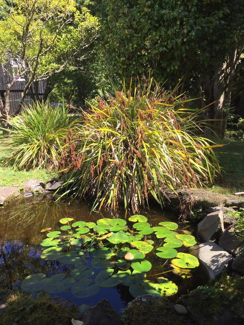Artists Old Barn Loft - Tourism Bookings NZ 2