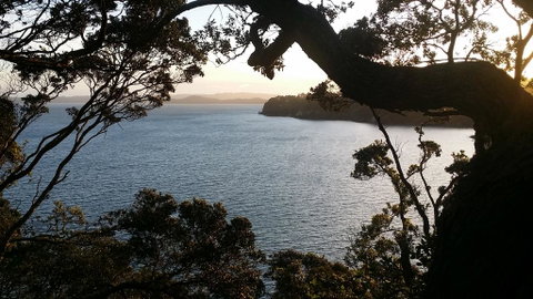 Auckland Clifftop - Tourism Bookings NZ 3