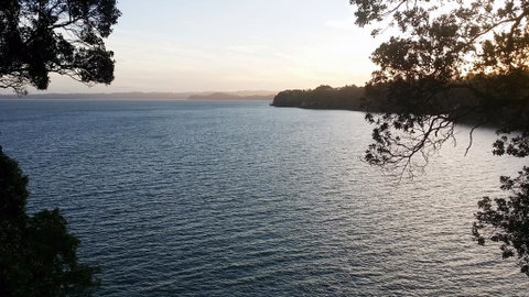 Auckland Clifftop - Tourism Bookings NZ 0